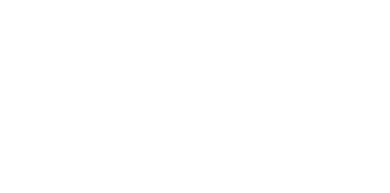 Vishak Logo New
